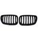 Решетки радиатора BMW X5 E53 (2003-2006) черный глянец БМВ Х5 Е53 Ноздри 701 фото 1