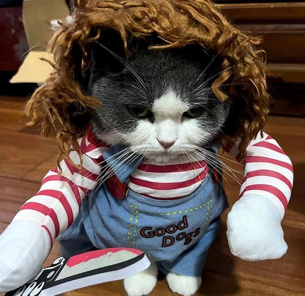 Косплей Чаки Костюм на Halloween Одежда для животных Праздничный костюм для маленьких средних собак и кошек М 1639 фото