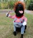Косплей Чаки Костюм на Halloween Одежда для животных Праздничный костюм для маленьких средних собак и кошек М 1639 фото 7