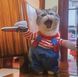 Косплей Чаки Костюм на Halloween Одежда для животных Праздничный костюм для маленьких средних собак и кошек М 1639 фото 4