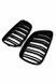 Решітки радіатора ніздрі BMW 2 Series F22 / F23 (2013-2015) 2 ГЛ 712 фото 6