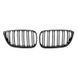 Решітки радіатора ніздрі BMW 2 Series F22 / F23 (2013-2015) 2 ГЛ 712 фото 1