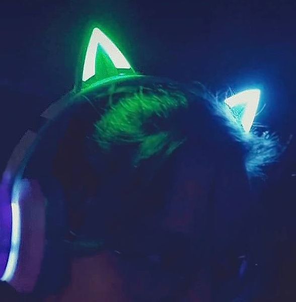 Безпроводные игровые наушники с ушками с подсветкой RGB CATEAR JST-BT035C Bluetooth Черные 1705 фото