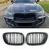 Решітки радіатора BMW X5 E53 1999-2003 дорестайлінг ніздрі бмв Х5 е53 у стилі М 1767 фото 4