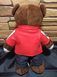 БМВ Плюшевий Ведмедик у Червоній куртці BMW Teddy Bear M Motorsport 1396-5-nash фото 2