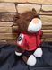 БМВ Плюшевий Ведмедик у Червоній куртці BMW Teddy Bear M Motorsport 1396-5-nash фото 3